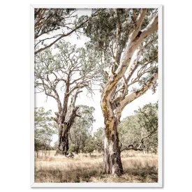 Among the Gumtrees III - Art Print