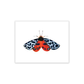 Tiger Moth: Integrity, Boxed Blank Note Cards